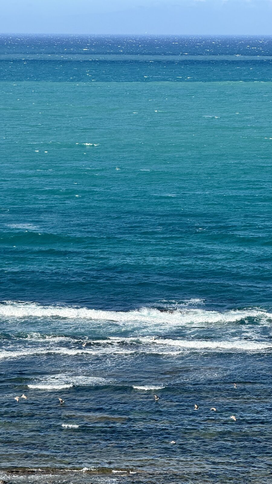 Oceans