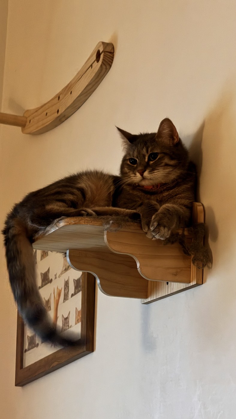Kiki