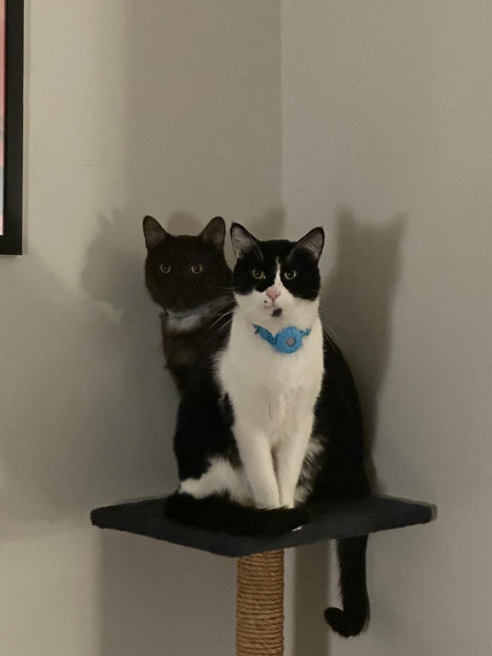 Naku & Daffy