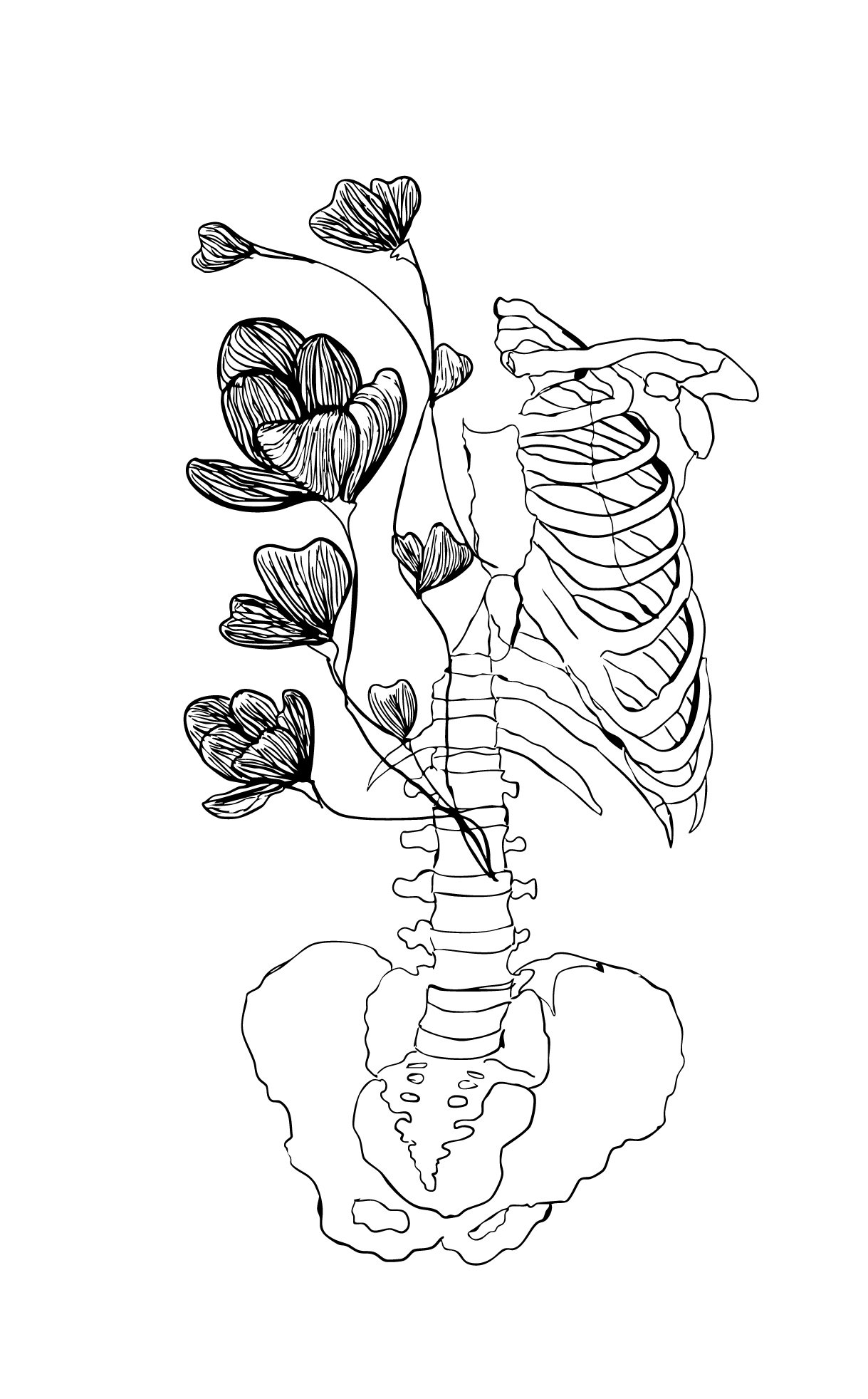 Ink sketch of a spine and ribcage interlaced with flowers